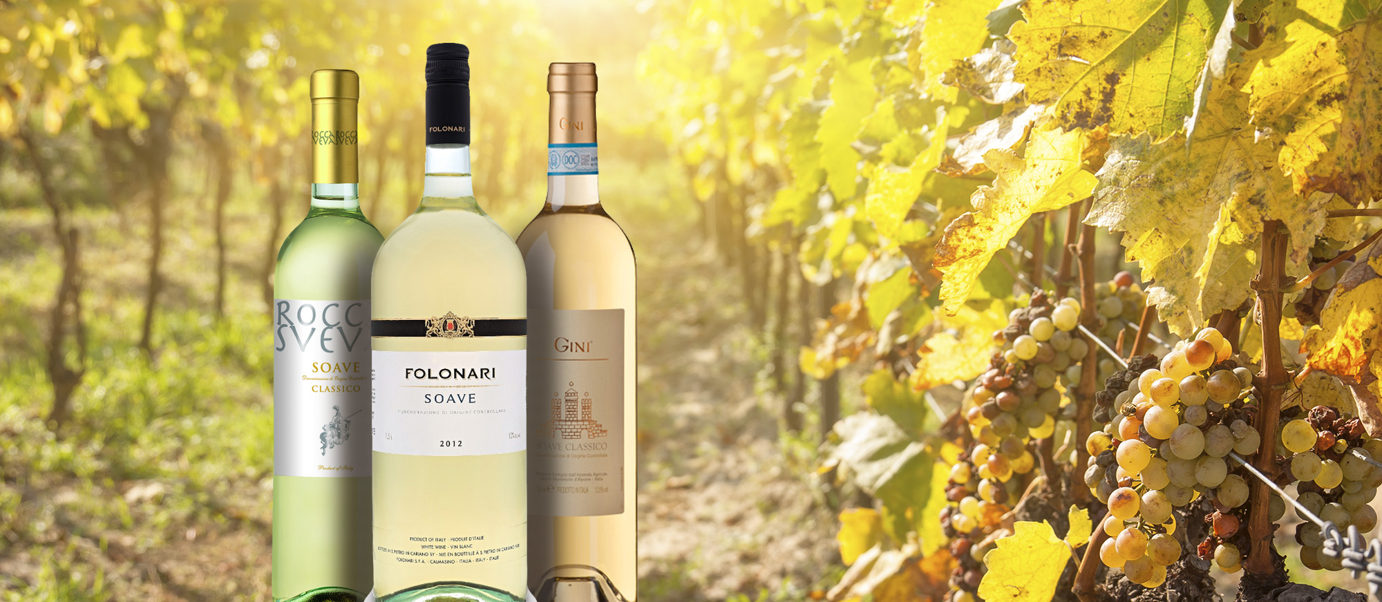 List of italian clearance white wine