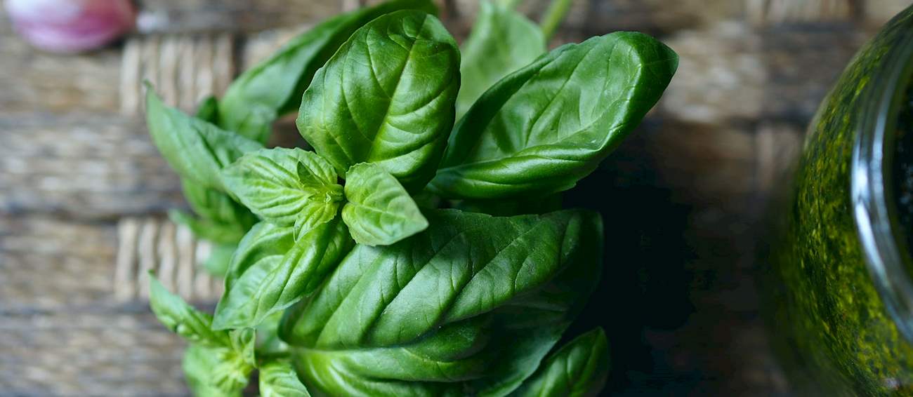 Basilico Genovese | Local Basil From Liguria, Italy | TasteAtlas