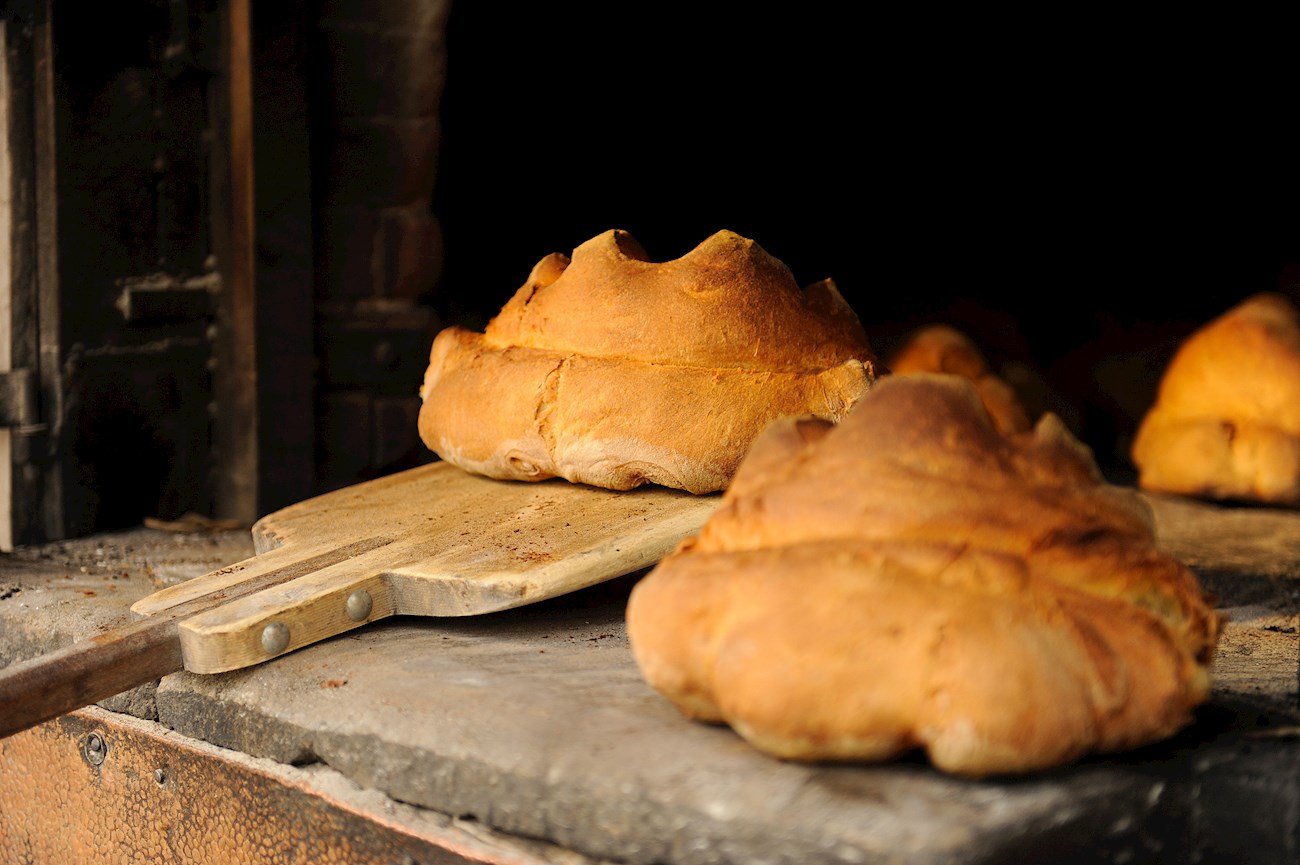 Pane di Matera | Traditional Sourdough Bread From Matera, Italy | TasteAtlas