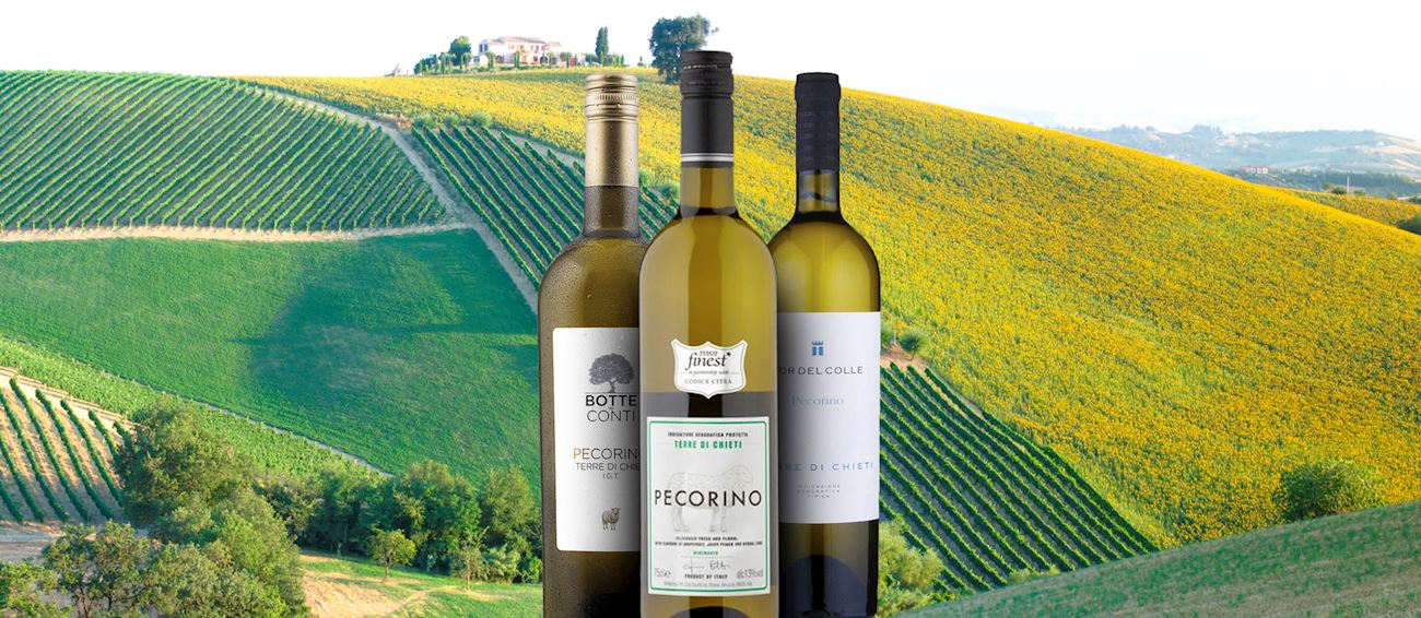 Pecorino | Local Wine Variety From Marche, Italy | TasteAtlas