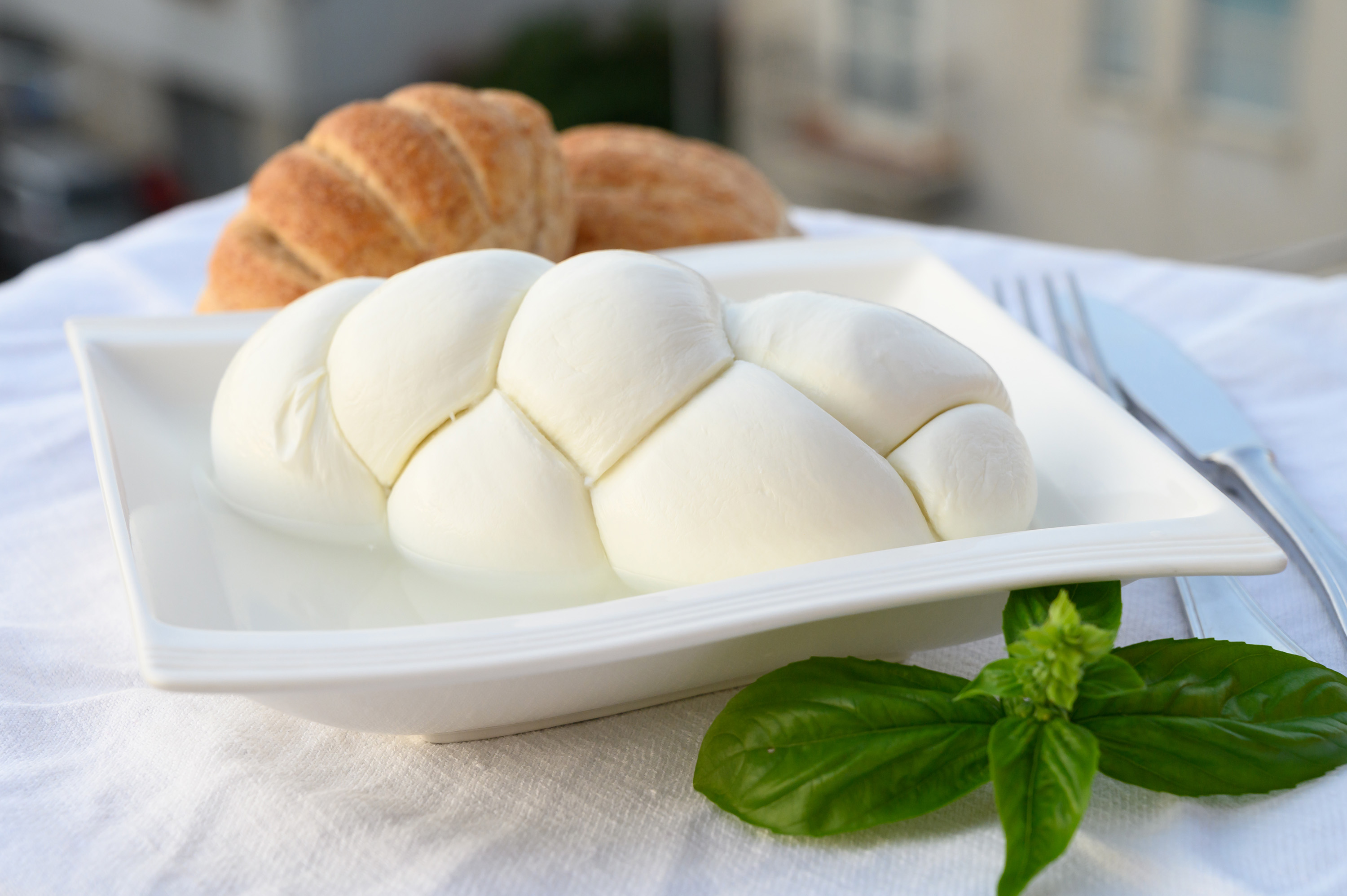 Vallombrosa Cheese - LA TRECCIA MOZZARELLA Called as the braided cheese, La  Treccia Mozzarella is known for its hand crafted cheese. It is most  suitable for complex sandwiches and salads.