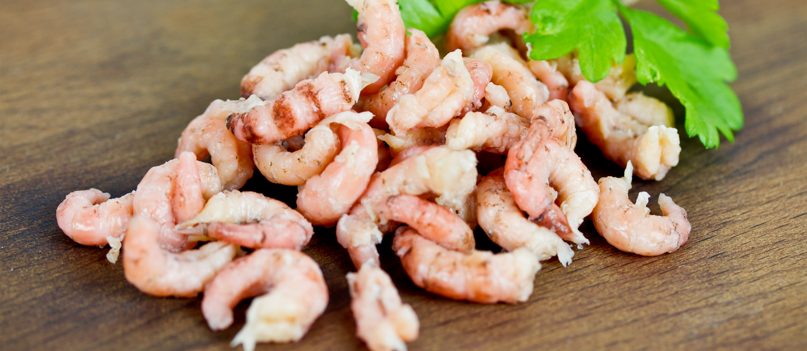 Nordseekrabben | Local Shrimps From Germany, Central Europe