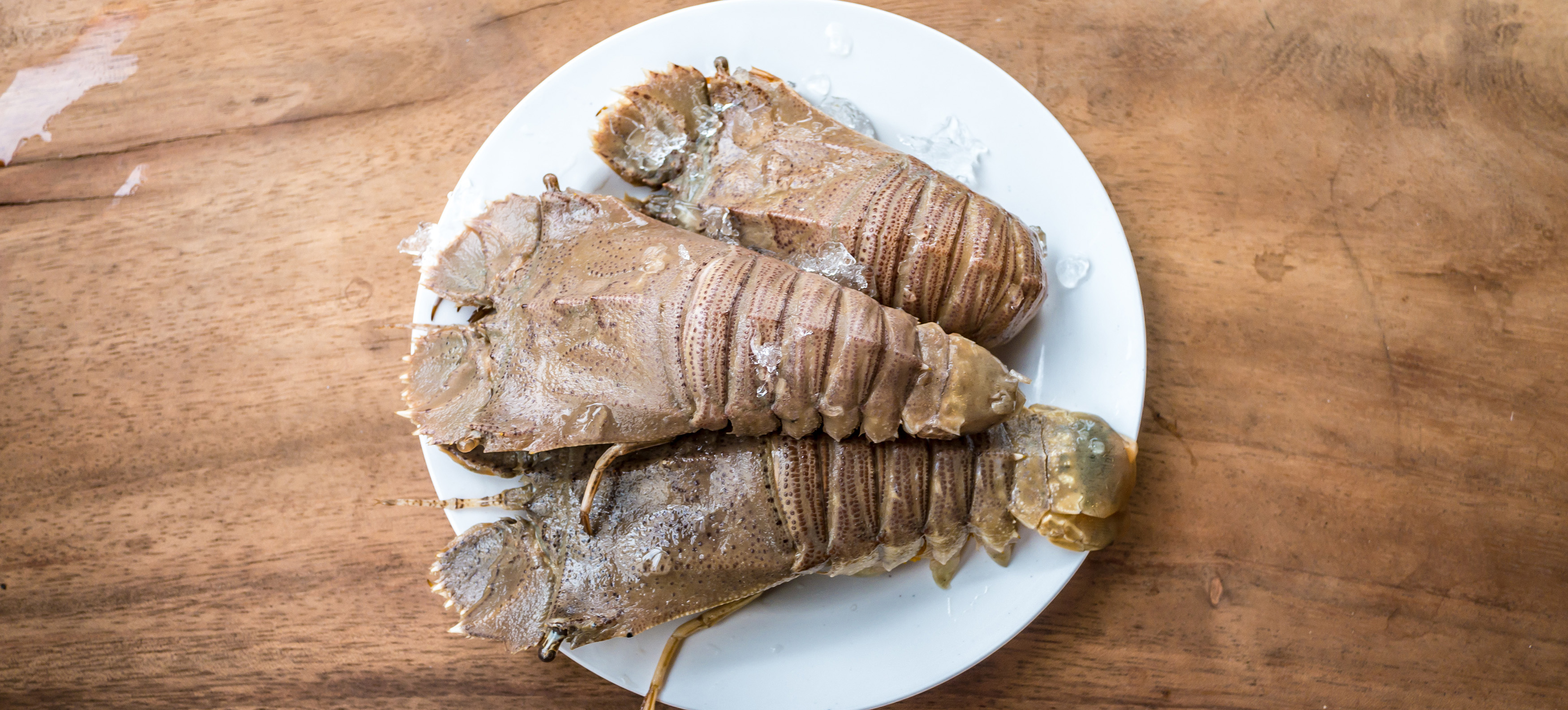 australian seafood bugs