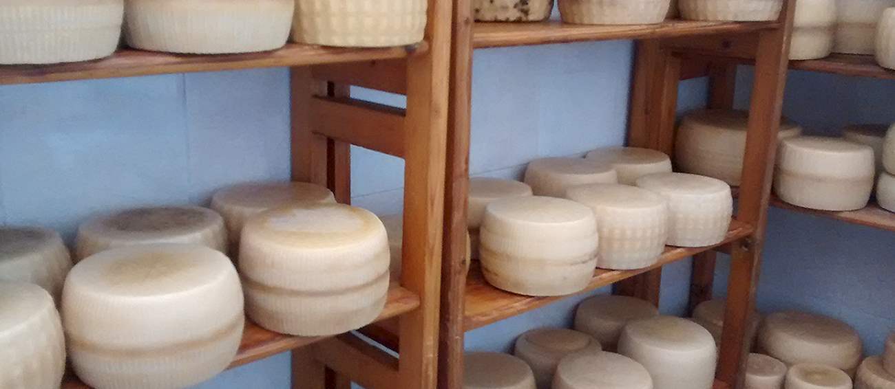 Cacioricotta Pugliese | Local Cheese From Apulia, Italy | TasteAtlas