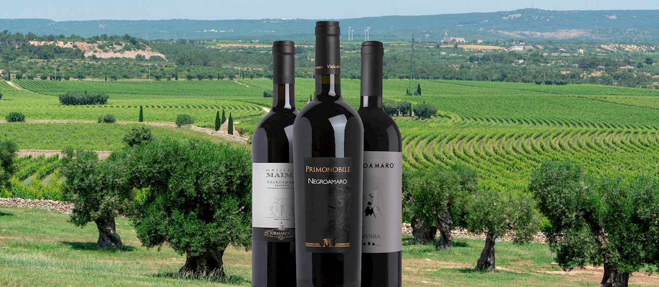 Negroamaro | Local Wine Variety From Apulia, Italy | TasteAtlas