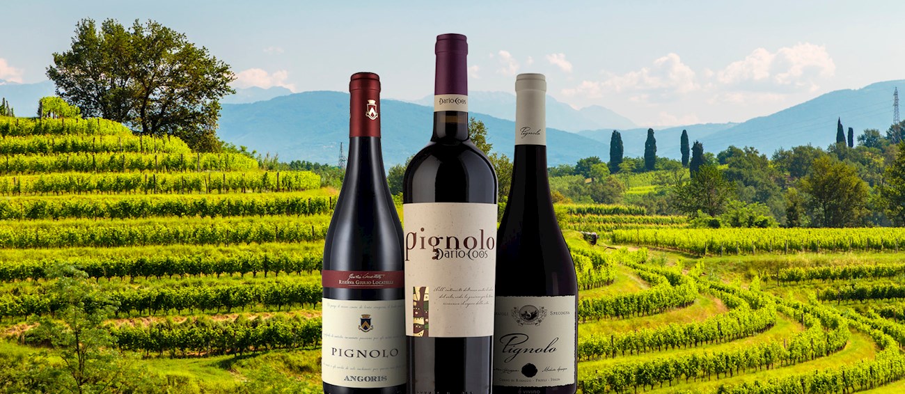 Pignolo | Local Wine Variety From Friuli-Venezia Giulia, Italy | TasteAtlas