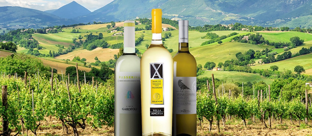 Passerina | Local Wine Variety From Marche, Italy | TasteAtlas