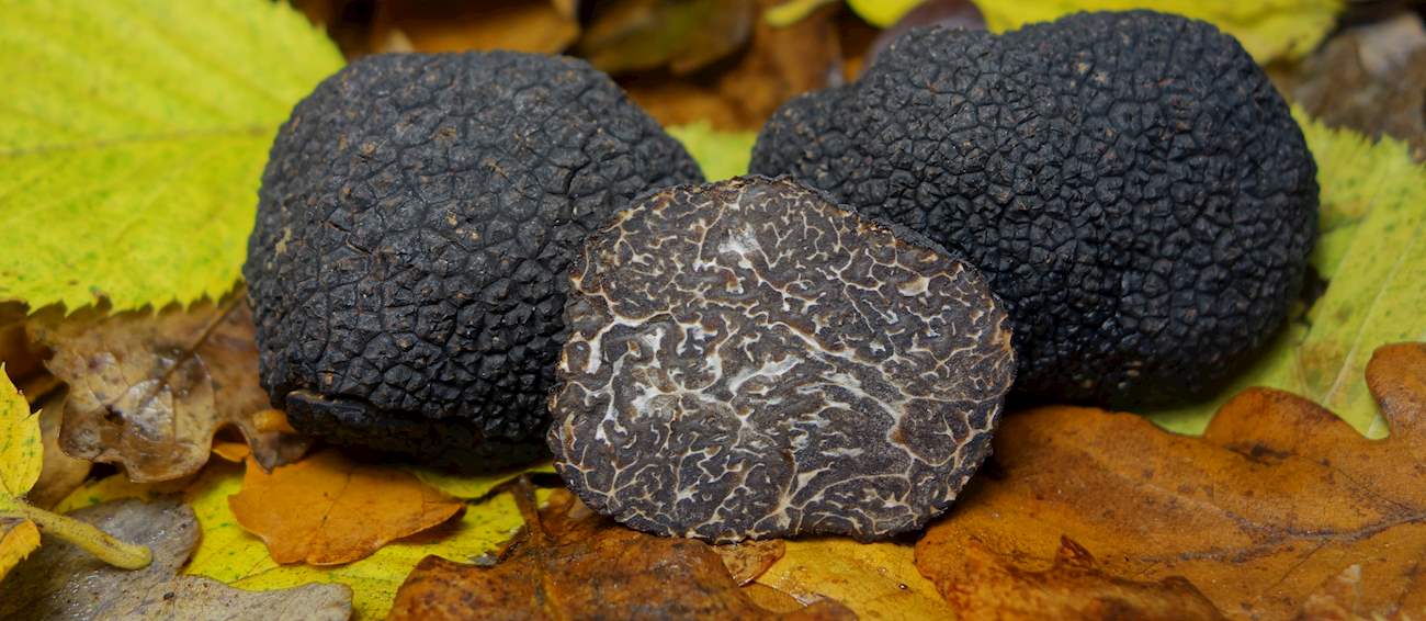 Black Périgord Truffle | Local Truffle From Dordogne, France | TasteAtlas