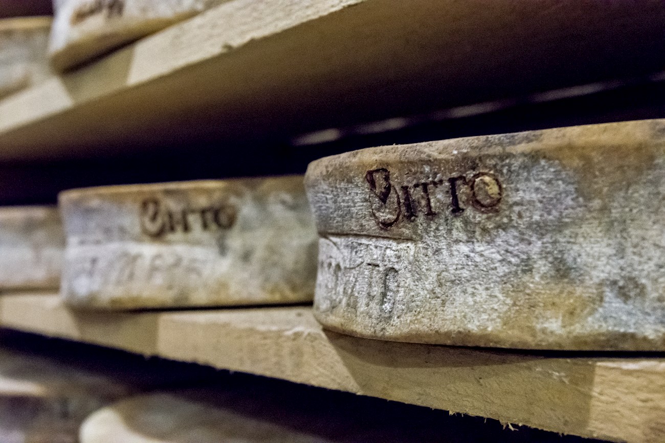 Bitto | Local Cheese From Valtellina, Italy | TasteAtlas