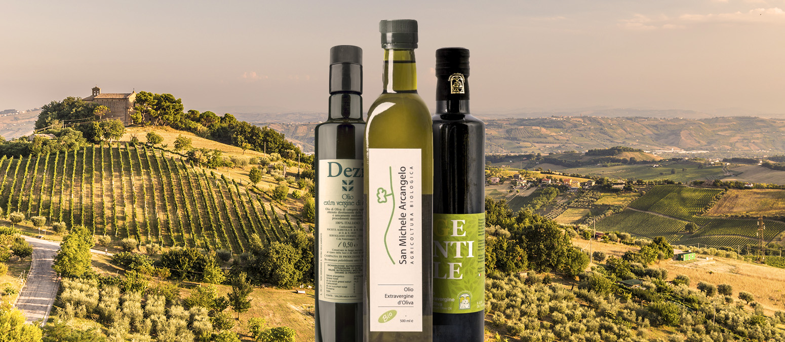 Marche Local Olive Oil From Marche Italy