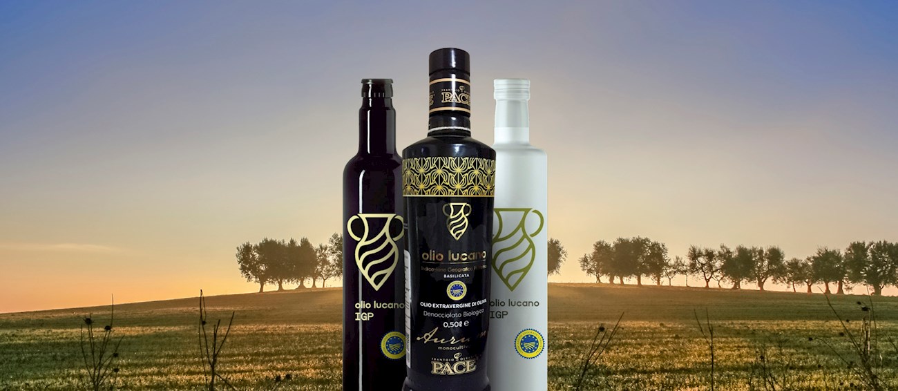 Olio Lucano | Local Olive Oil From Basilicata, Italy | TasteAtlas