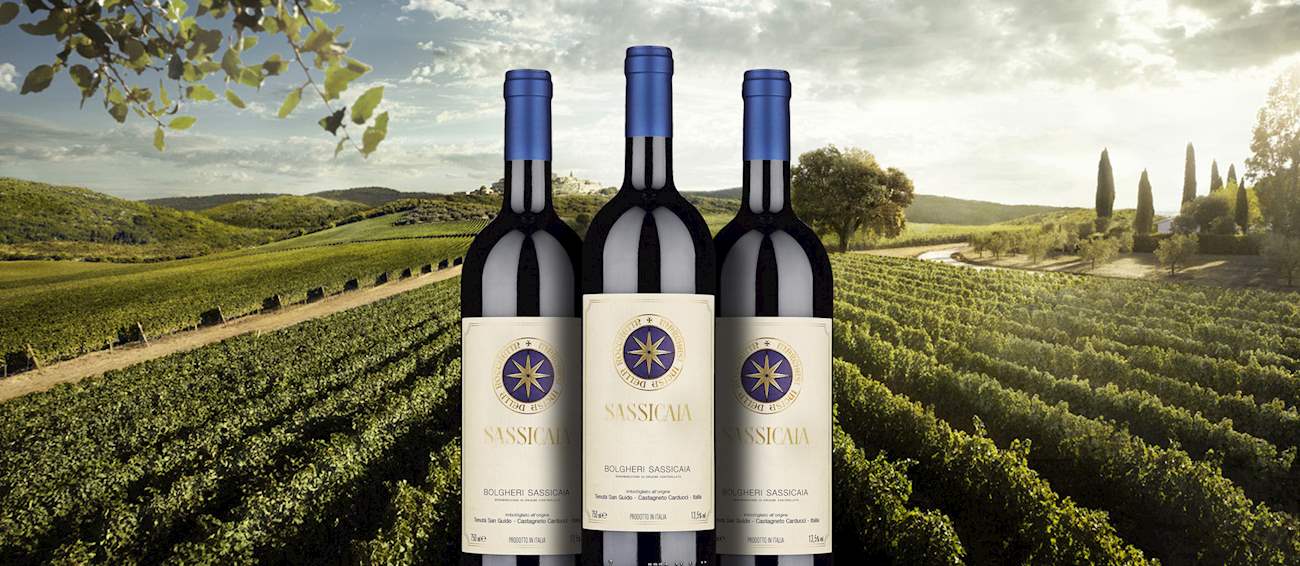 Sassicaia | Local Wine Appellation From Tuscany, Italy