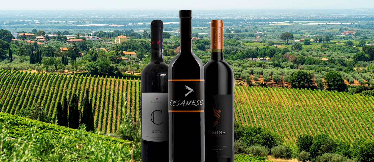 Cesanese | Local Wine Variety From Lazio, Italy | TasteAtlas