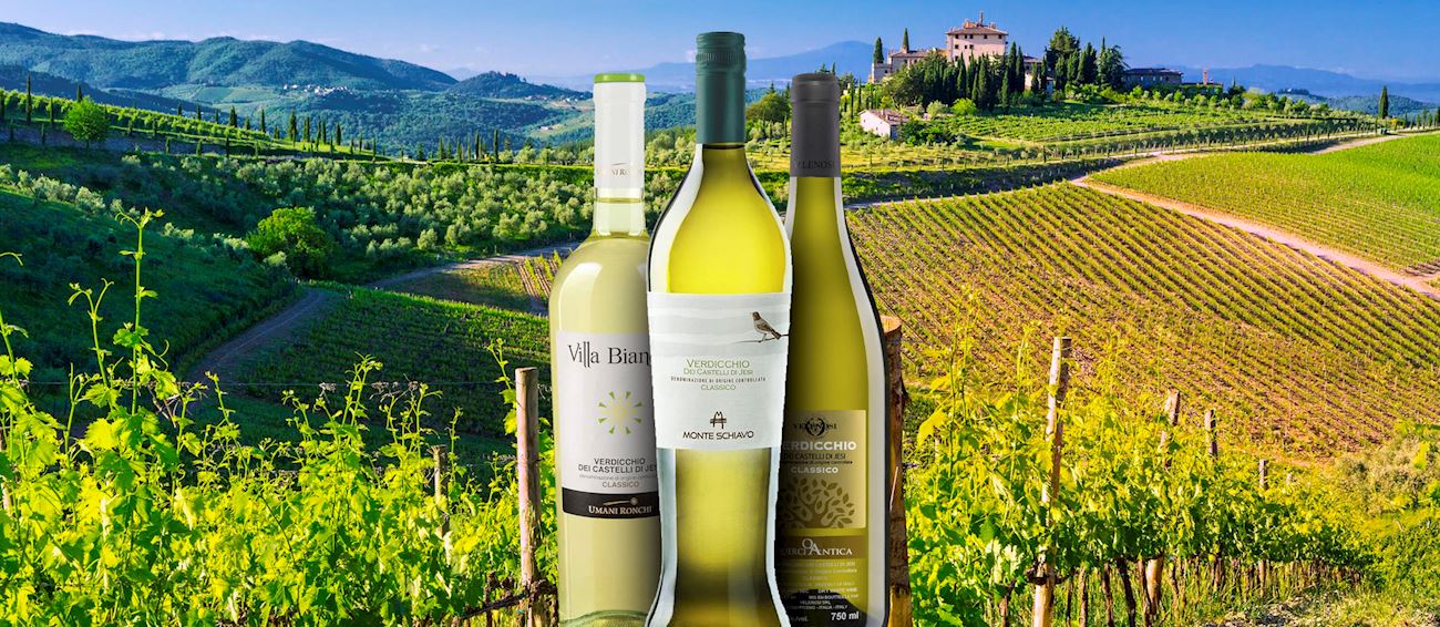 Verdicchio | Local Wine Variety From Marche, Italy | TasteAtlas