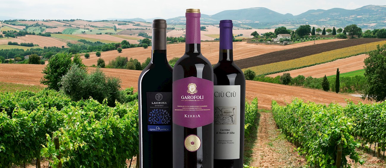 Lacrima di Morro D'Alba | Local Wine Appellation From Ancona, Italy | TasteAtlas