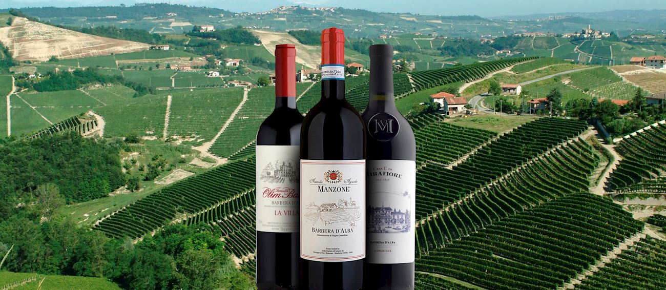 Barbera | Local Wine Variety From Piedmont, Italy | TasteAtlas